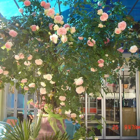 מלון Da Giovanna 3*