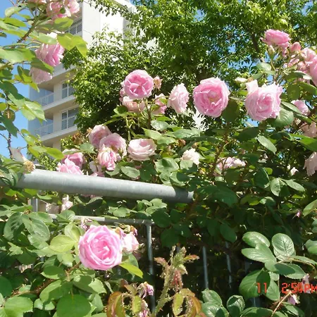 فندق Da Giovanna 3*